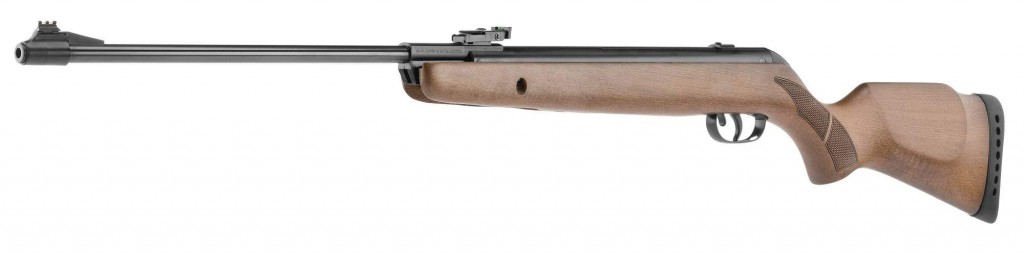 carabine-gamo-big-cat-hunter